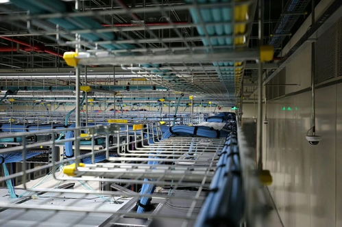 四川新建賓館酒店智能化升級 客房控制系統與智慧語音機器人引領服務新潮流